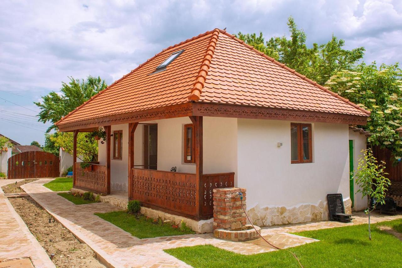Conacul Grigorescu Ratesti Exterior foto