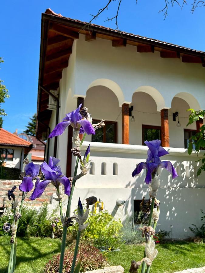 Conacul Grigorescu Ratesti Exterior foto