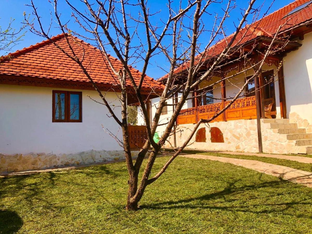 Conacul Grigorescu Ratesti Exterior foto